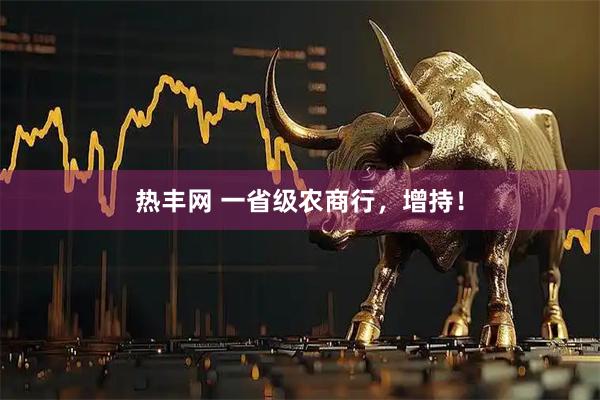 热丰网 一省级农商行，增持！