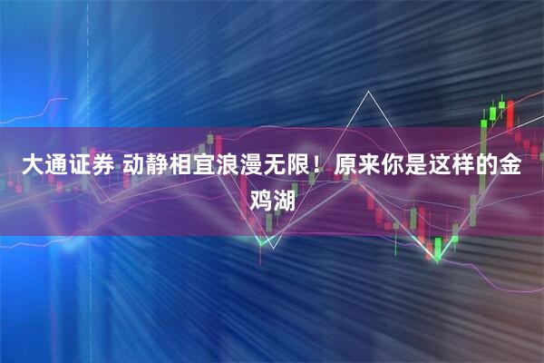 大通证券 动静相宜浪漫无限！原来你是这样的金鸡湖