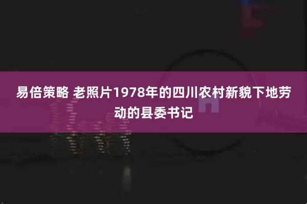 易倍策略 老照片1978年的四川农村新貌下地劳动的县委书记